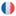 Icona da Icons8.com, per leggere la pagina in Francese